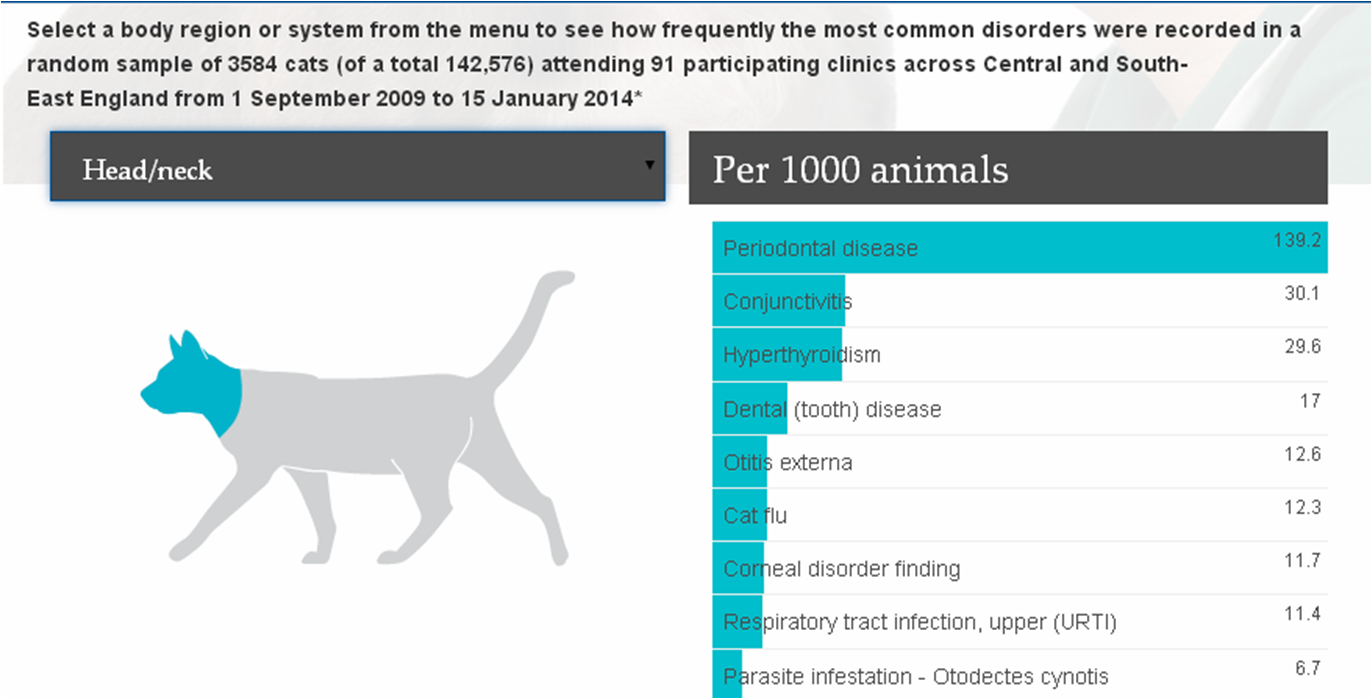 statistics of stray animals in malaysia